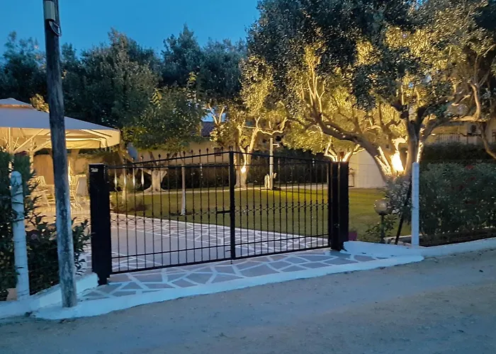 Olive Treehouse