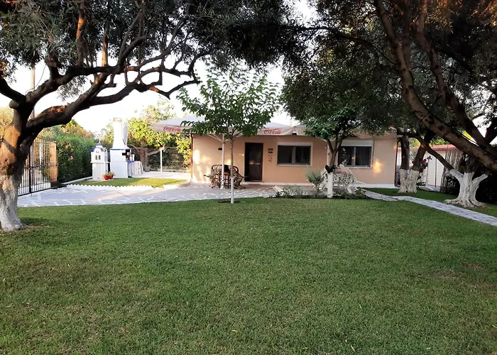 Olive Treehouse
